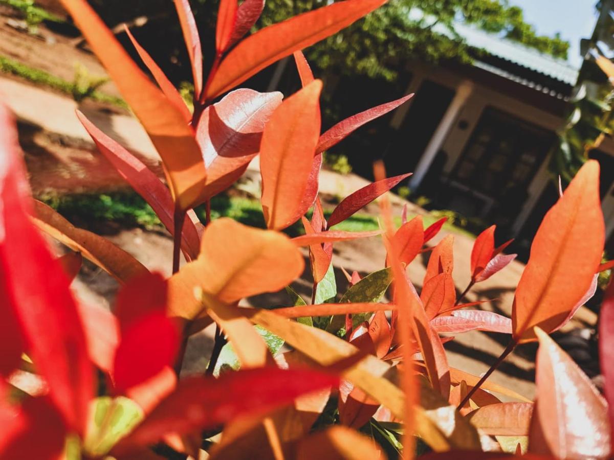 The Cozy Cottage Habarana Exterior photo